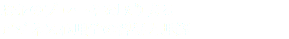 お金のブレーキを取り去る ビジネス心理学の習得と理解